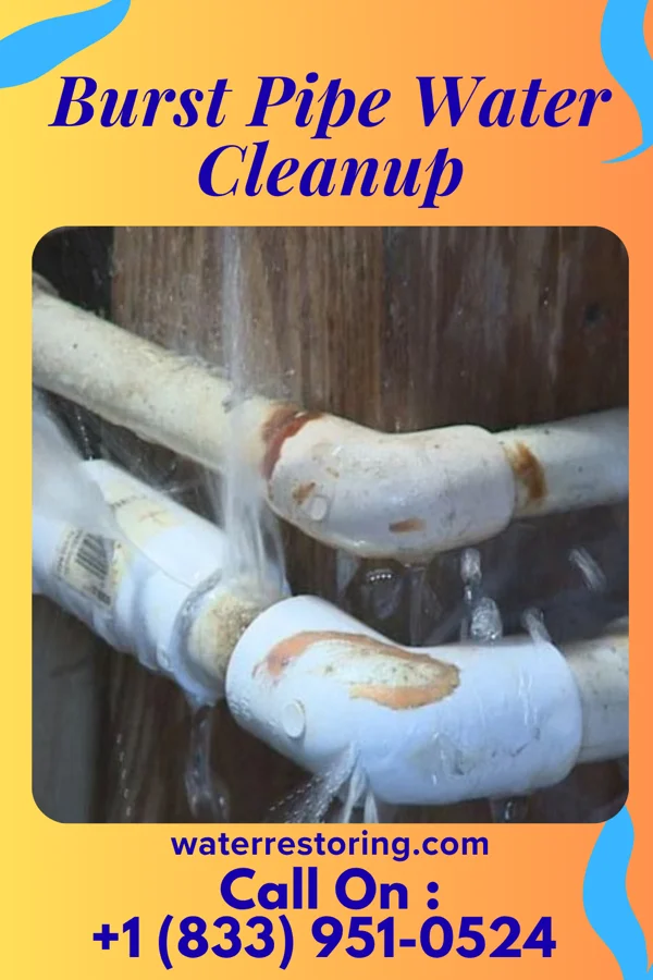 Burst Pipe Water Cleanup in Richburg, NY