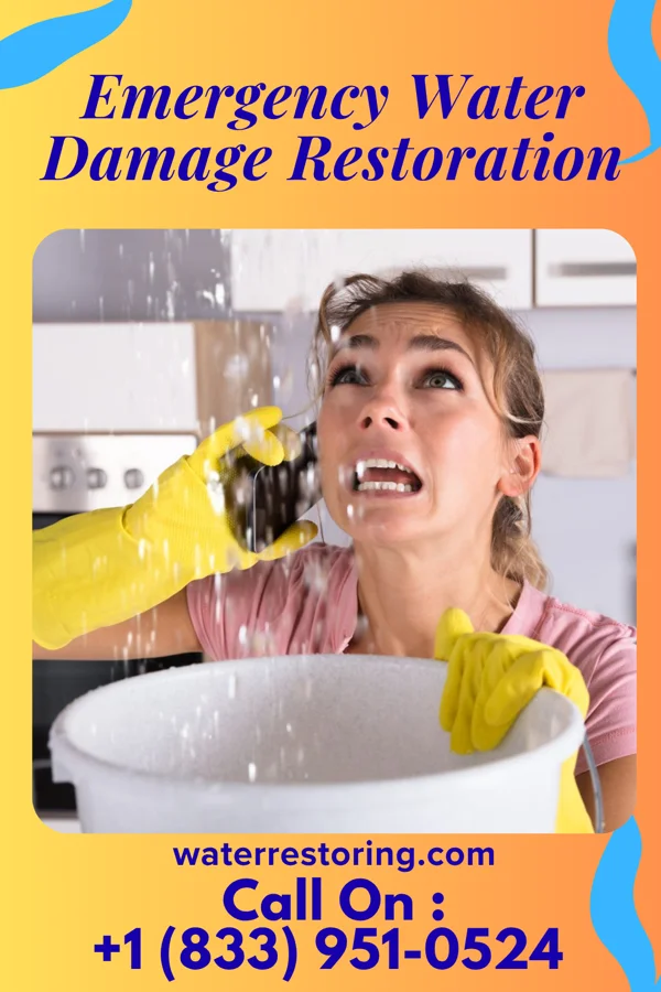 Emergency Water Damage Restoration in Richburg, NY