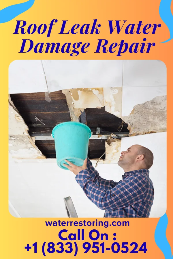 Roof Leak Water Damage Repair in Richburg, NY