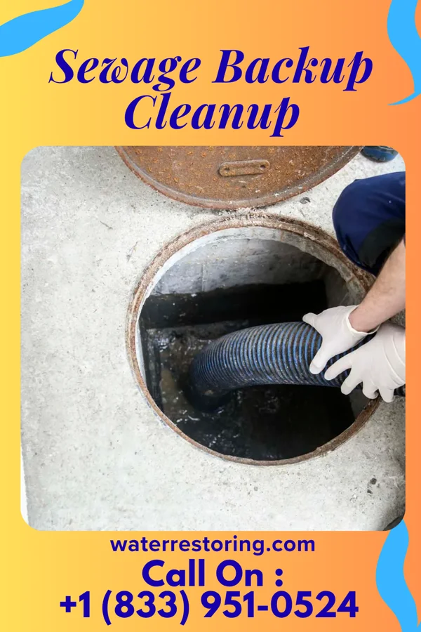 Sewage Backup Cleanup in Richburg, NY